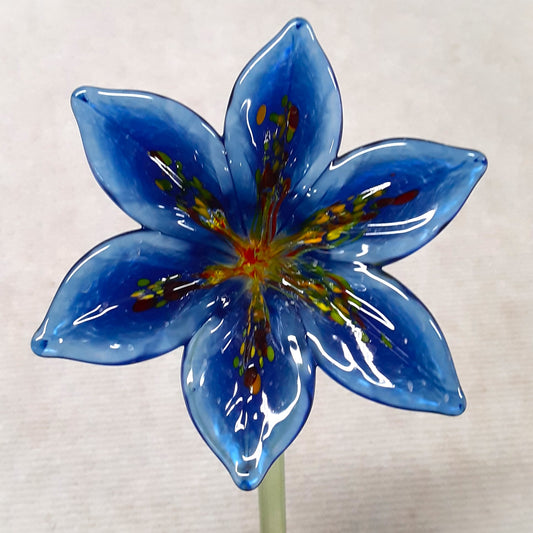 Lily Large -Blue/Gold-