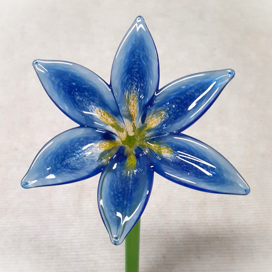 Lily Large -Cobalt/Yellow-