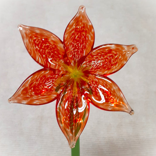 Lily Large -Red/Yellow-
