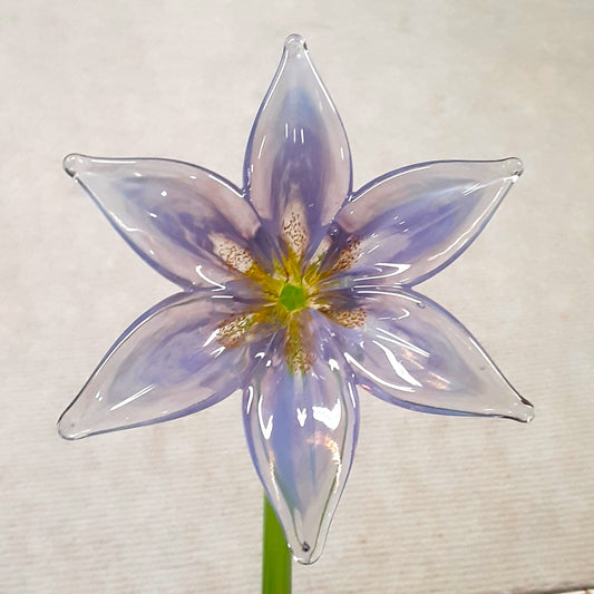 Lily Large -Purple-