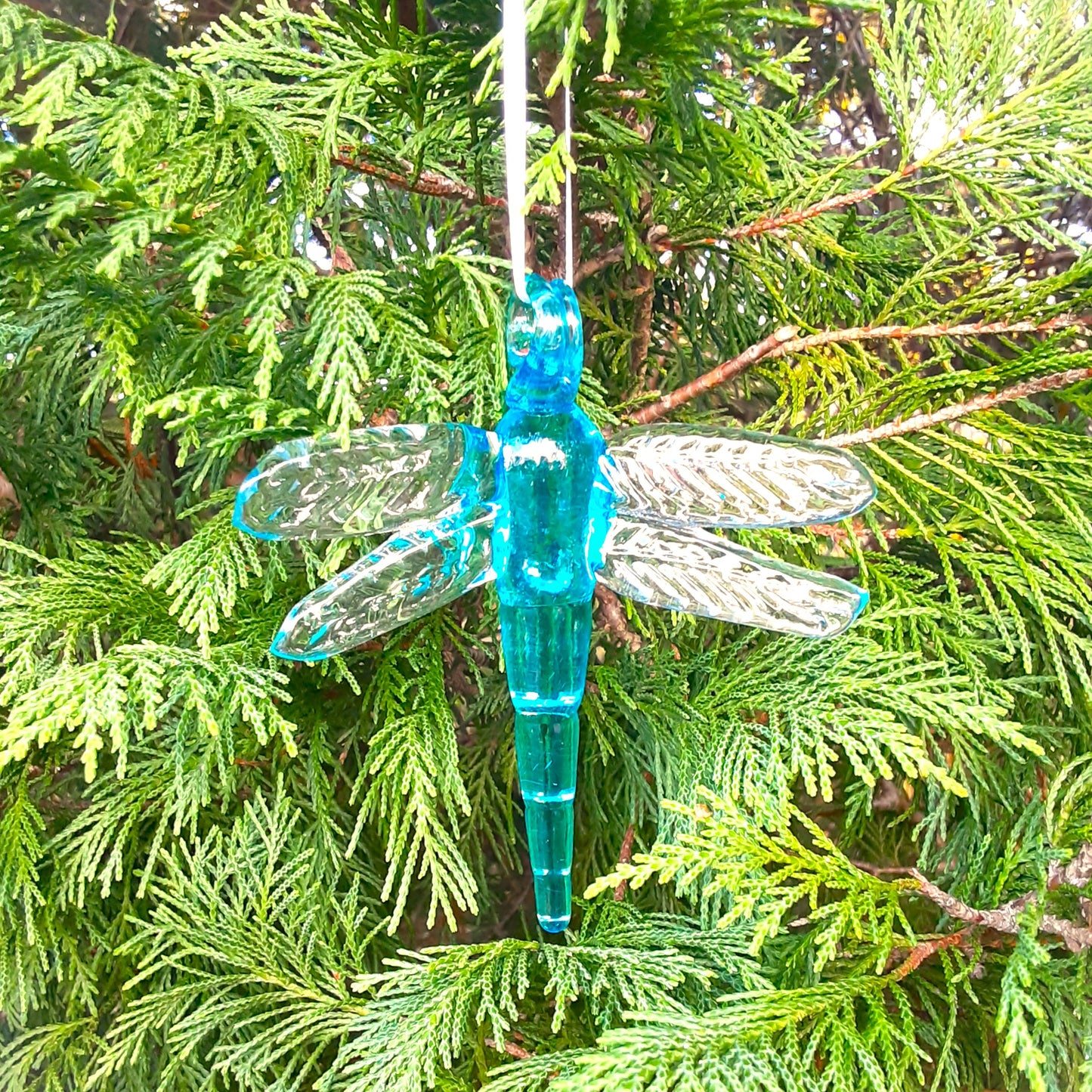 Ornament of the Year 2025