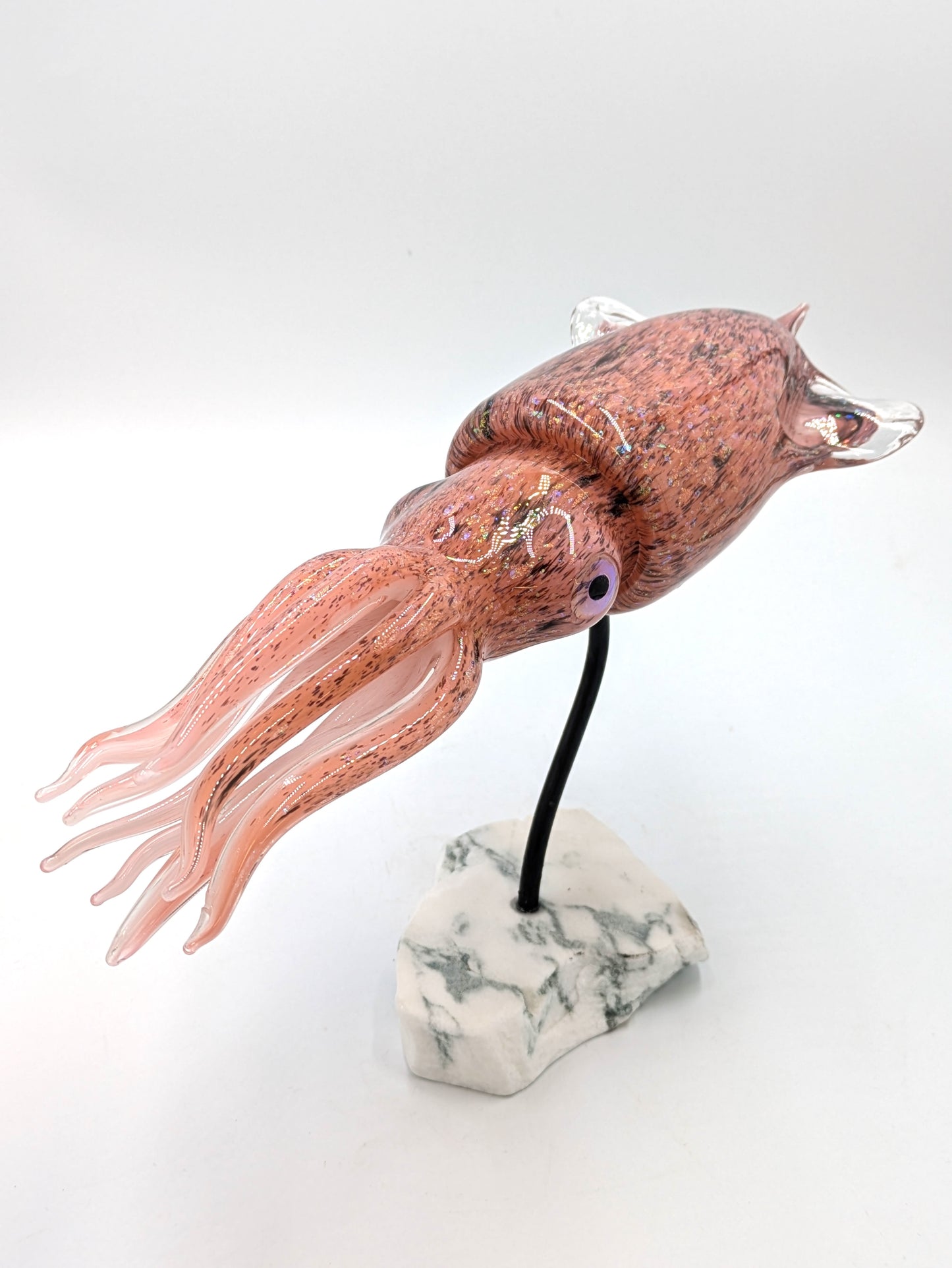 Squid