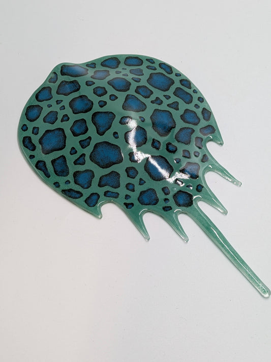 Large Horseshoe Crab