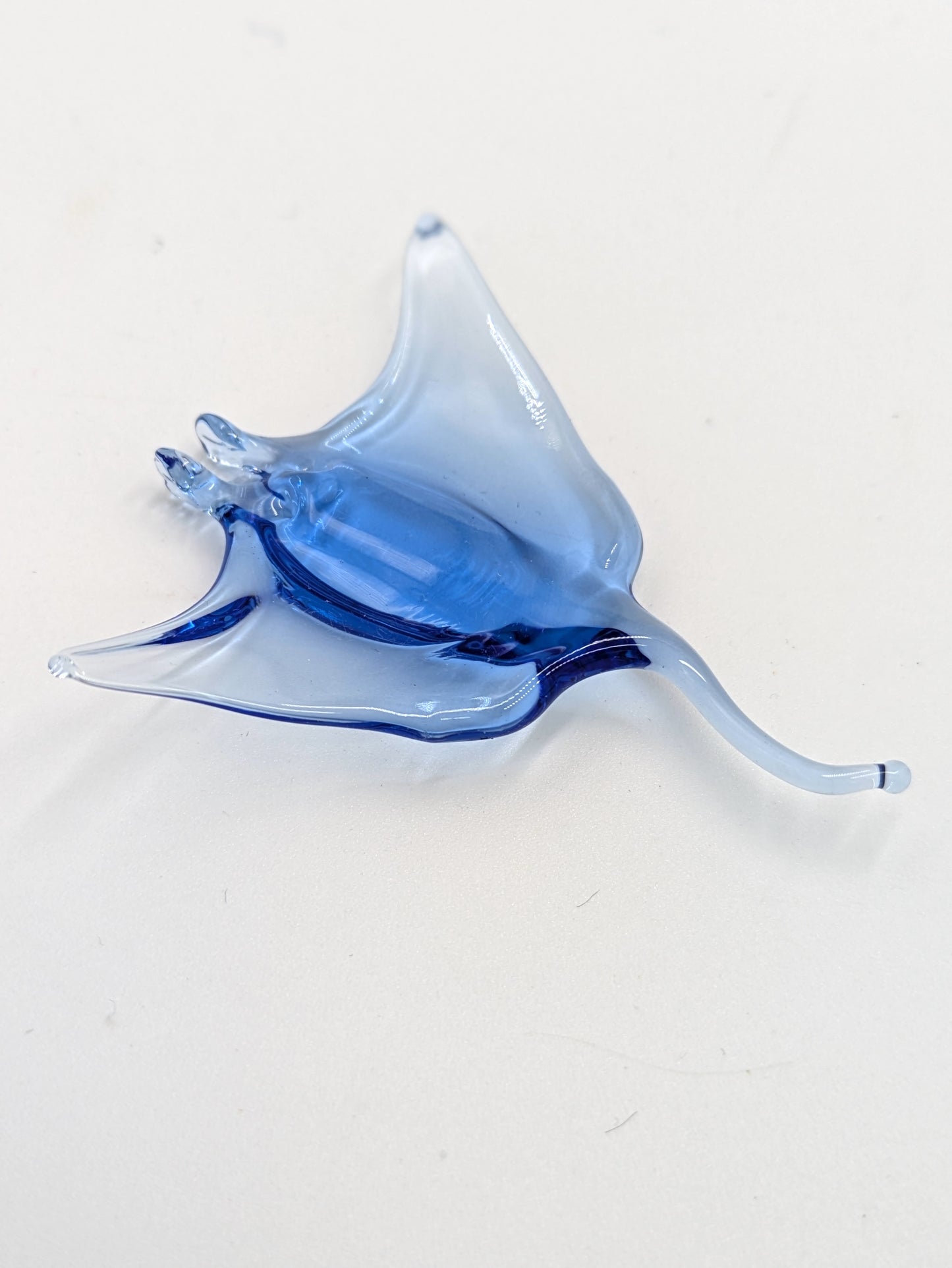 Manta Ray