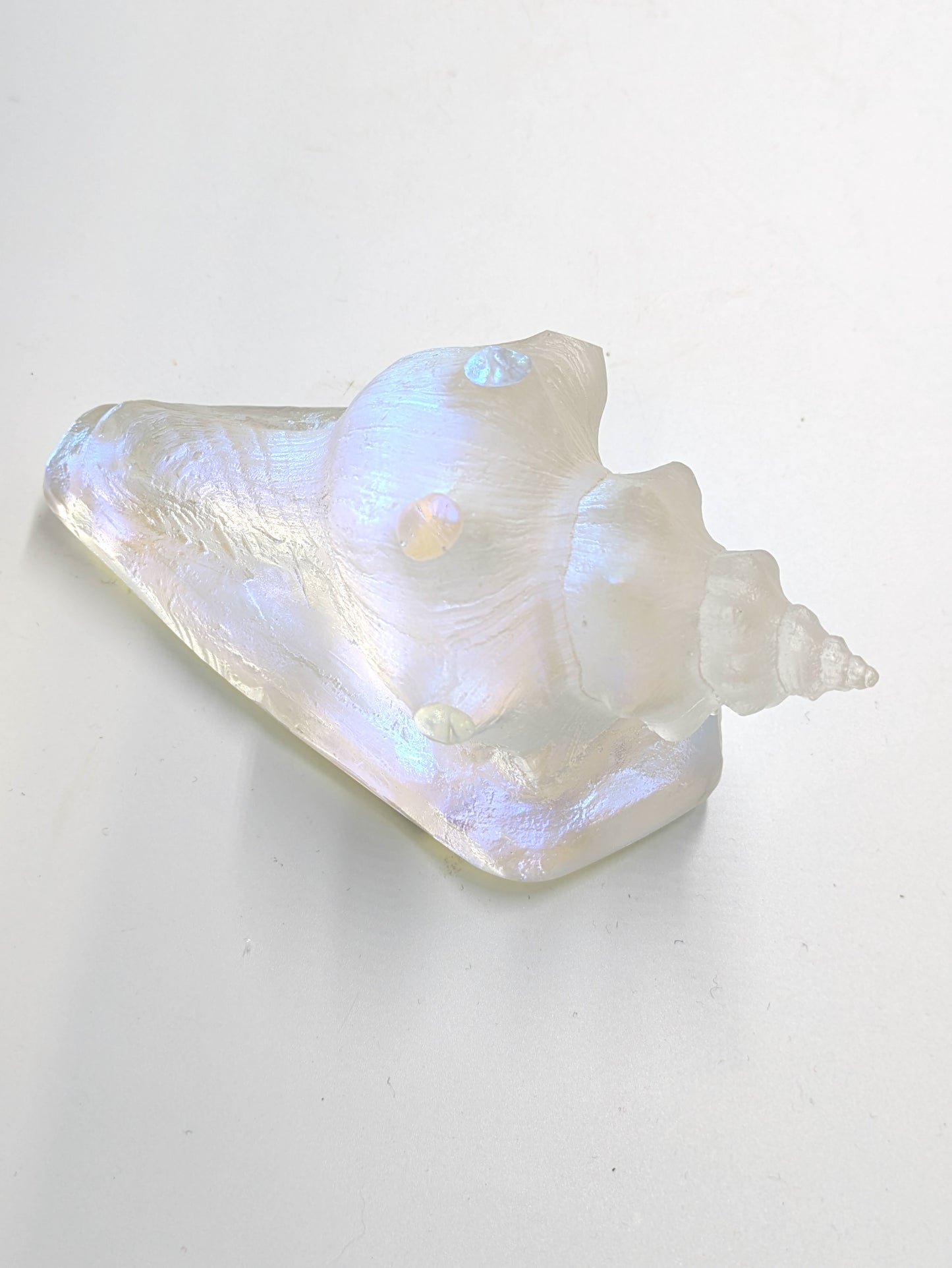 Handblown Glass Aural Conch Shell by Jeremy Sinkus