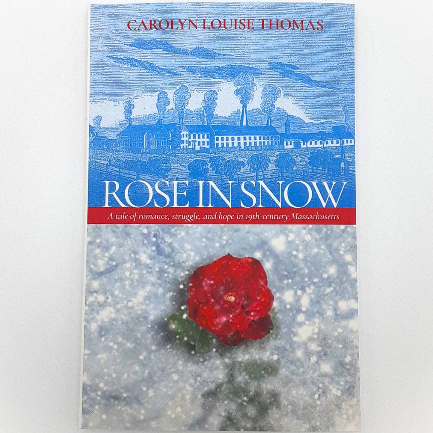 Rose in Snow