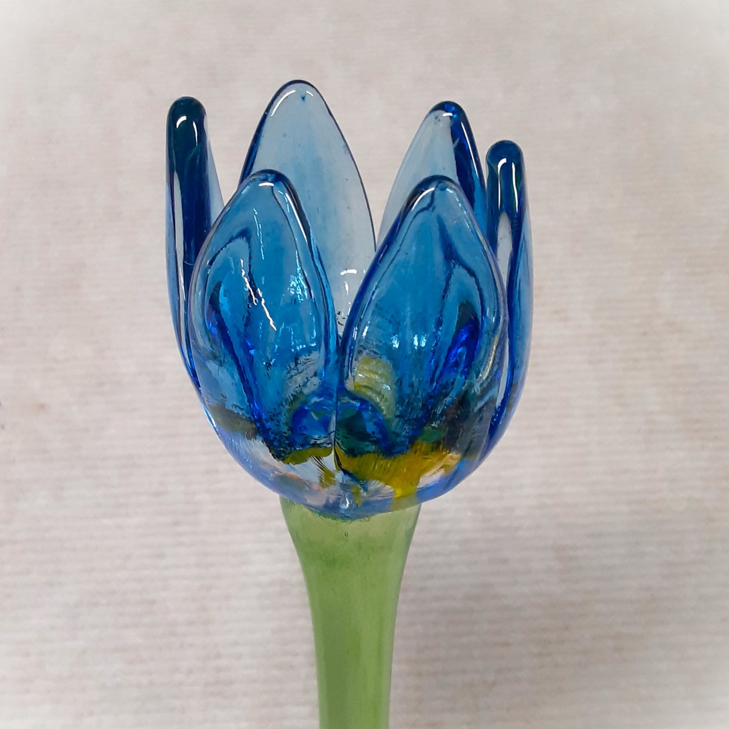 Tulip -Blue-