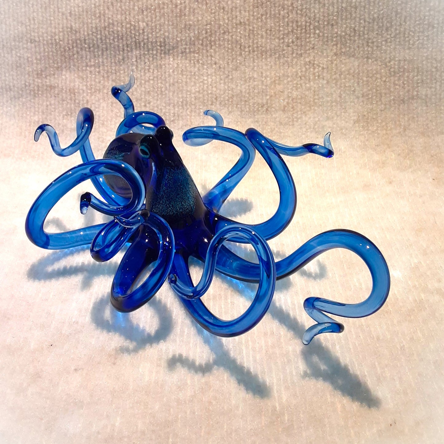 Curious...Cobalt Octopus