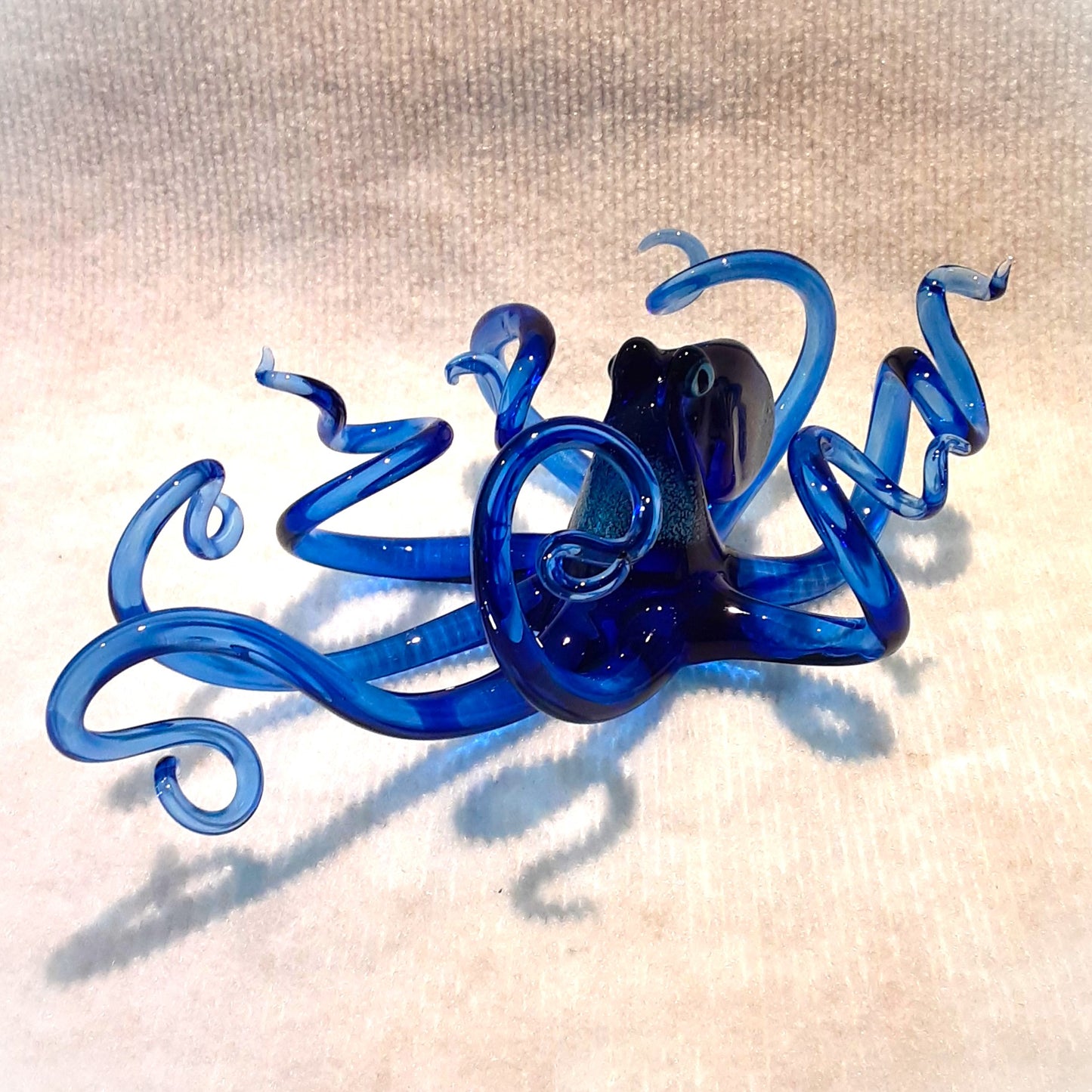 Curious...Cobalt Octopus