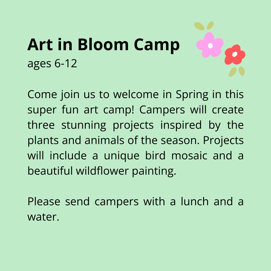 Art in Bloom Camp