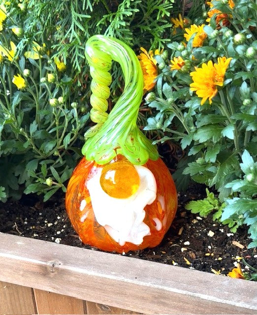 2026 Pumpkin of the Year