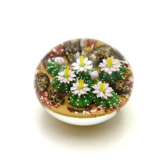 Cactus Paperweight