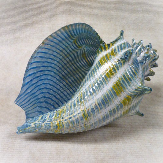 Optic Conch Blue -Silkwood Glass-