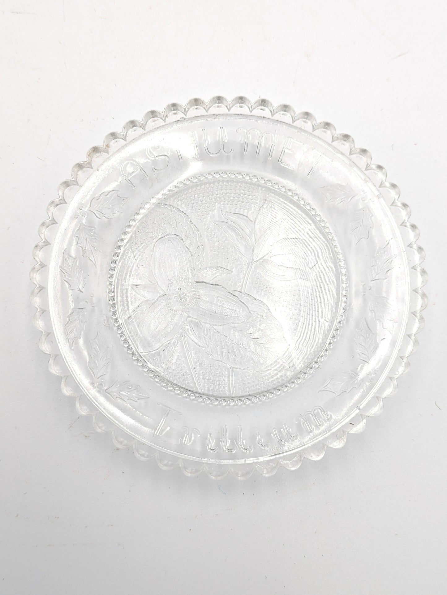 Set of 8 Hand Pressed Glass Cup Plates "Ashumet"