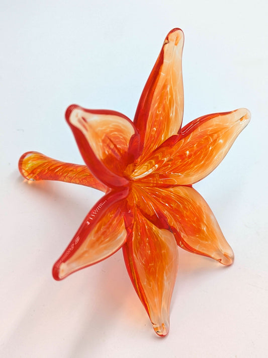 Ring Holder