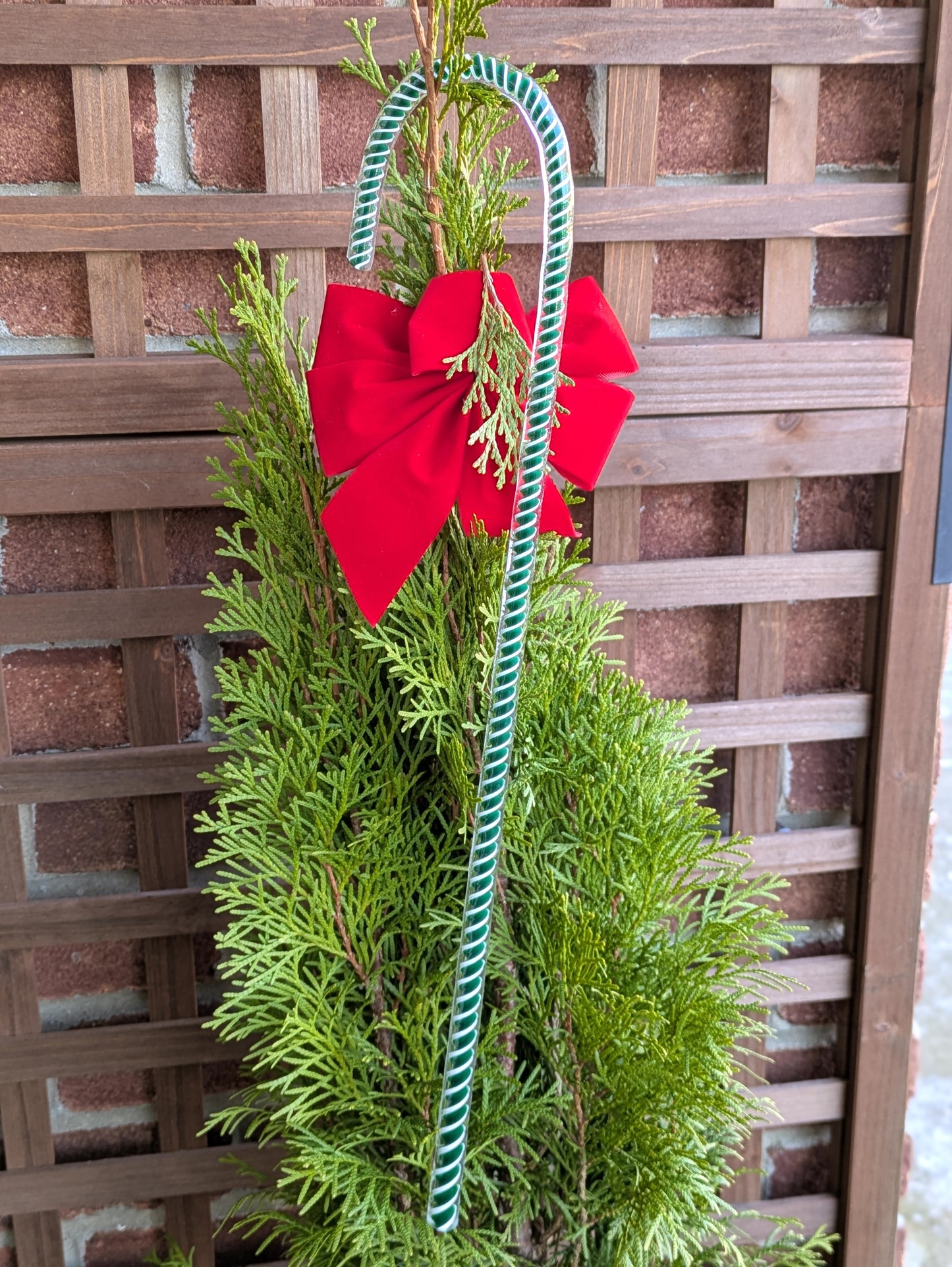 Hand Blown Glass Candy Cane Large by Green Mountain Glassworks