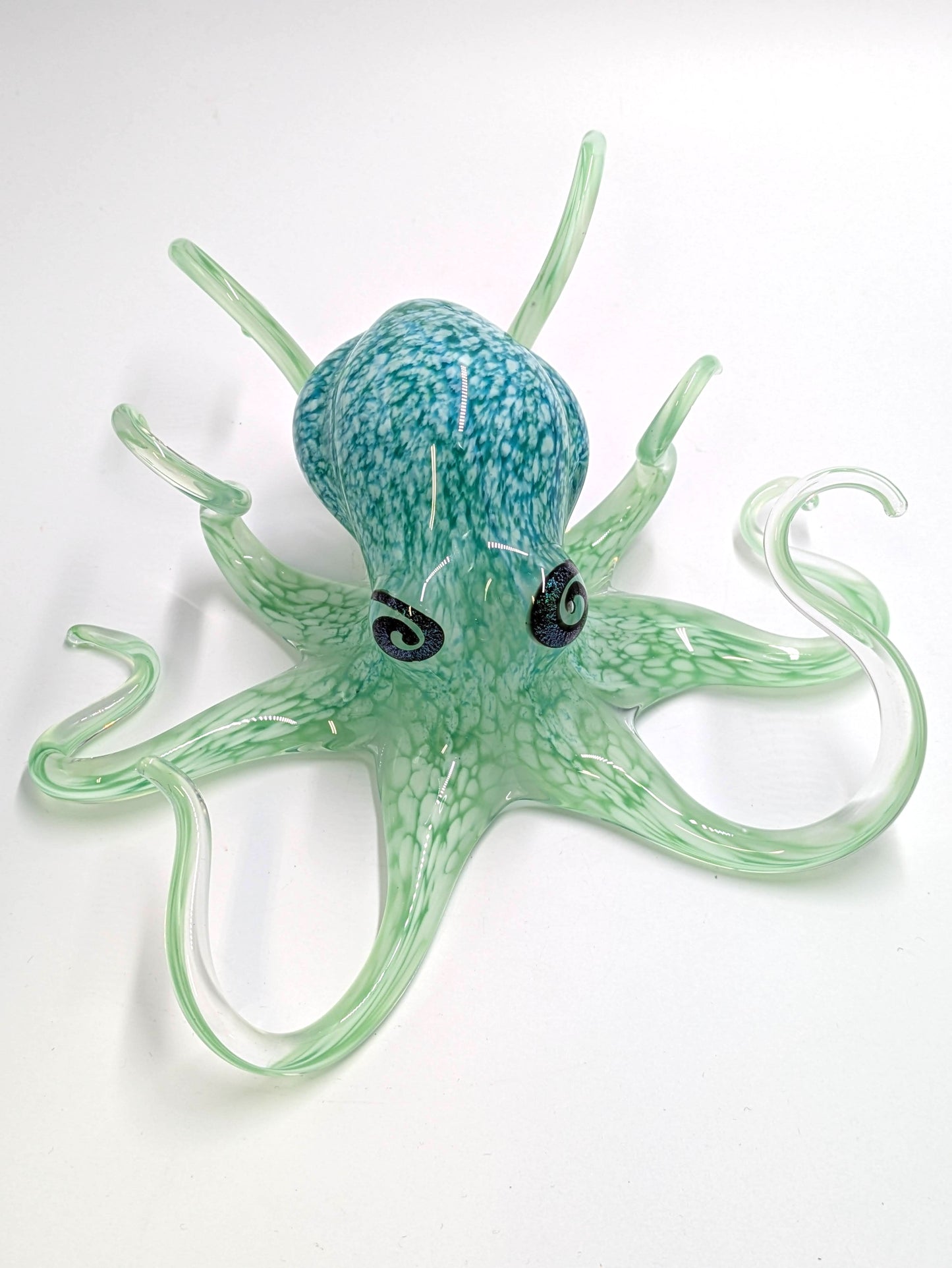 Medium Aqua Octopus