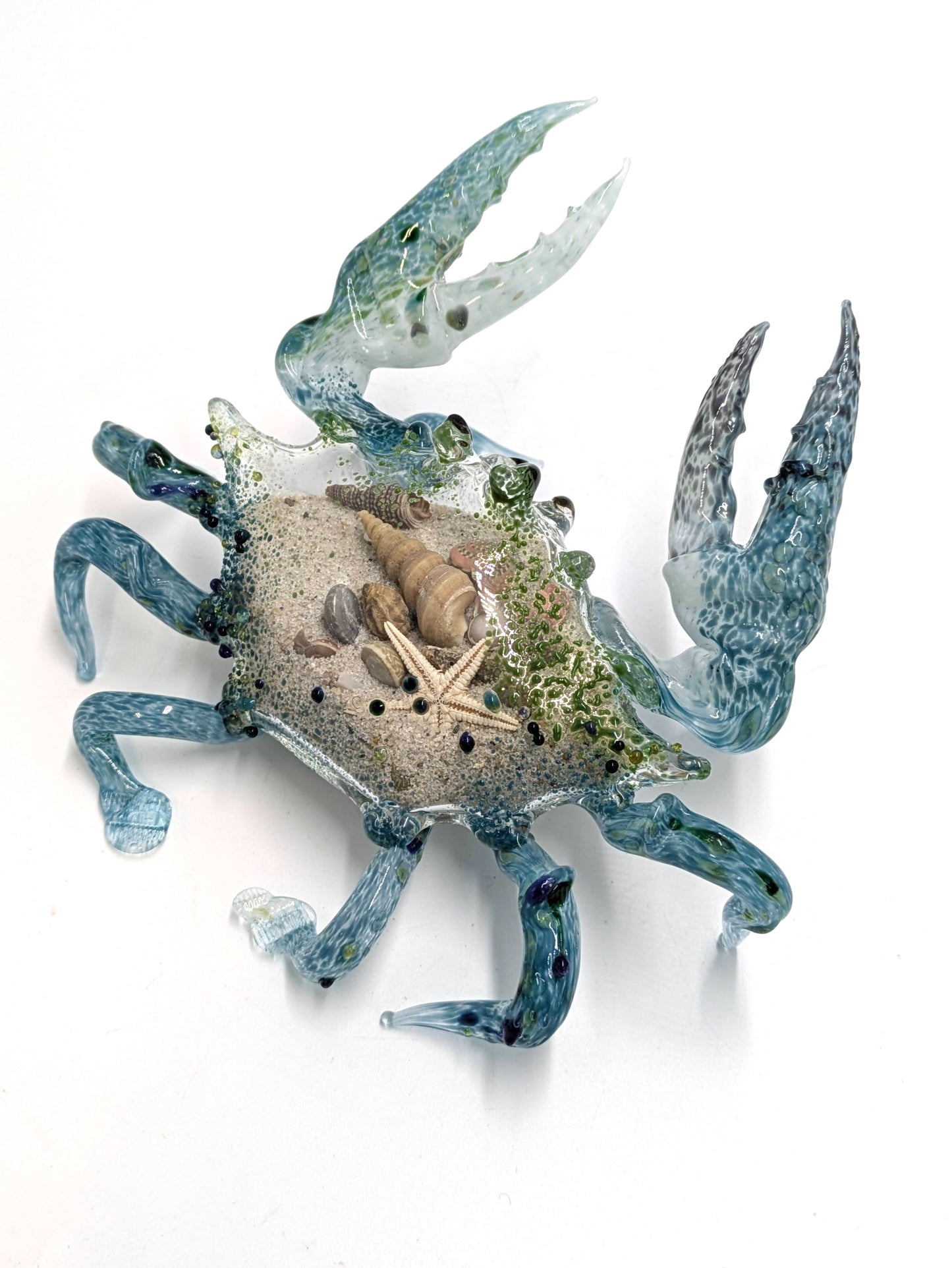 Sand Filled Crab