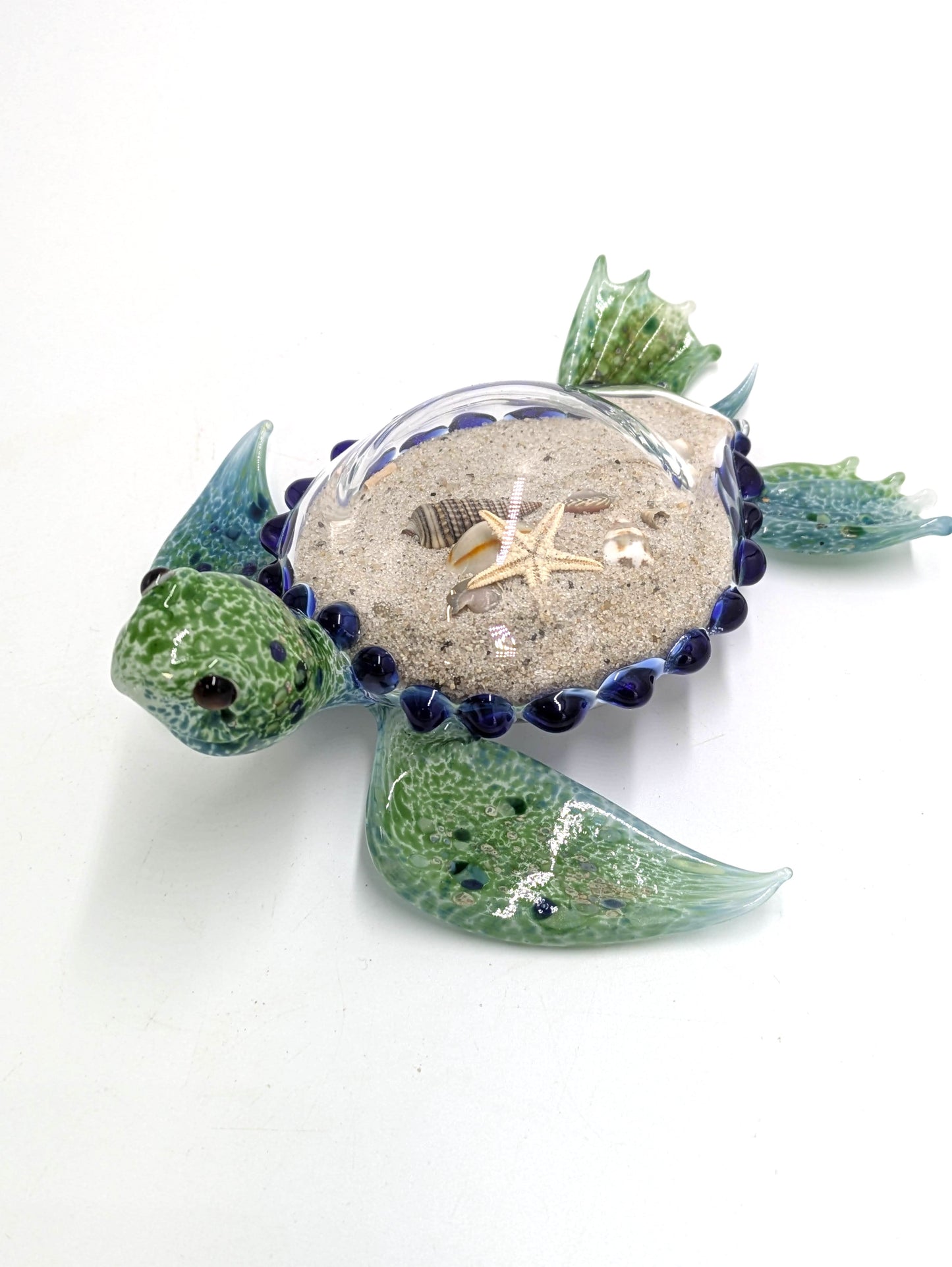 Sand Filled Turtle