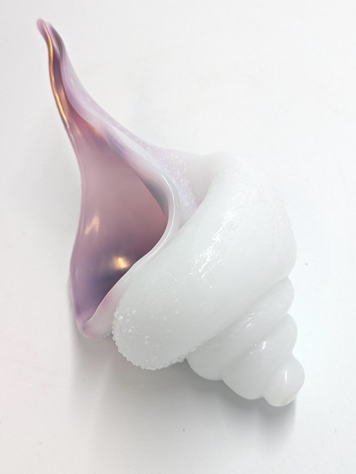 Large Shell