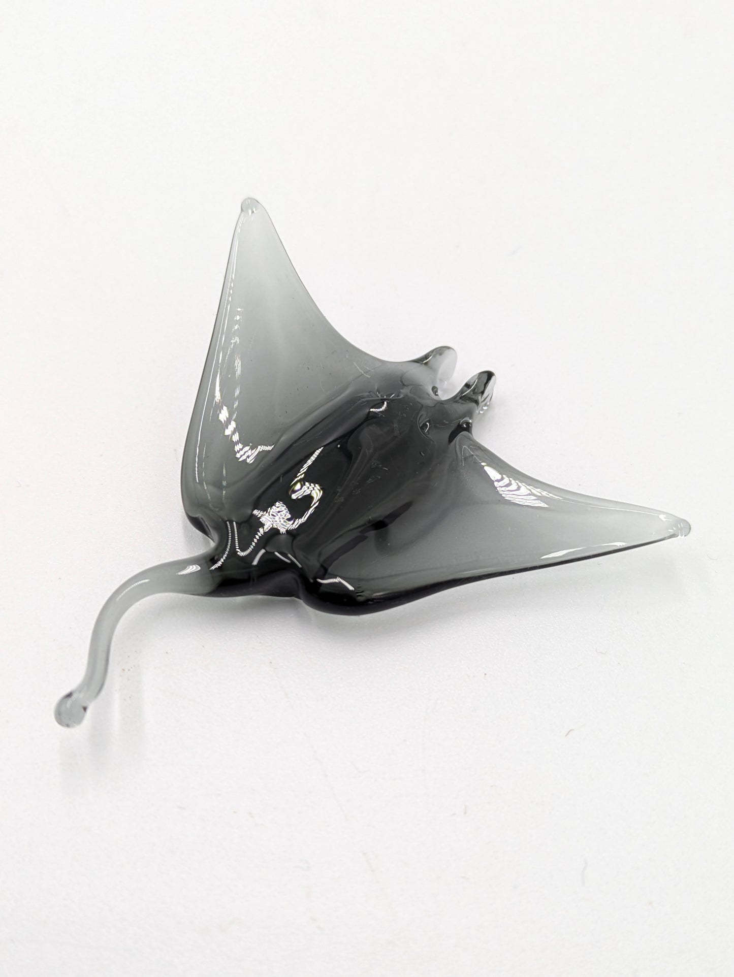 Manta Ray