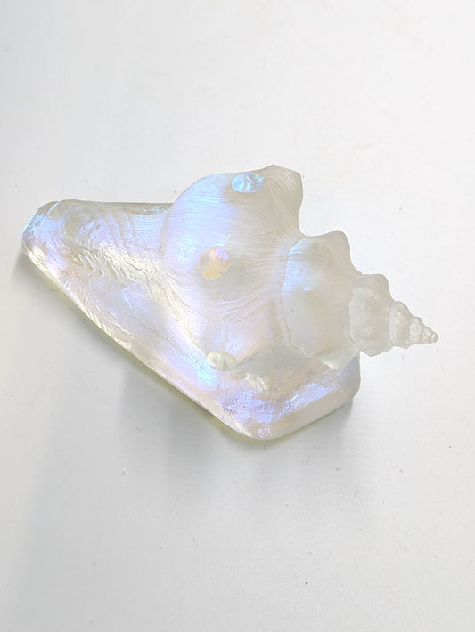 Handblown Glass Aural Conch Shell by Jeremy Sinkus