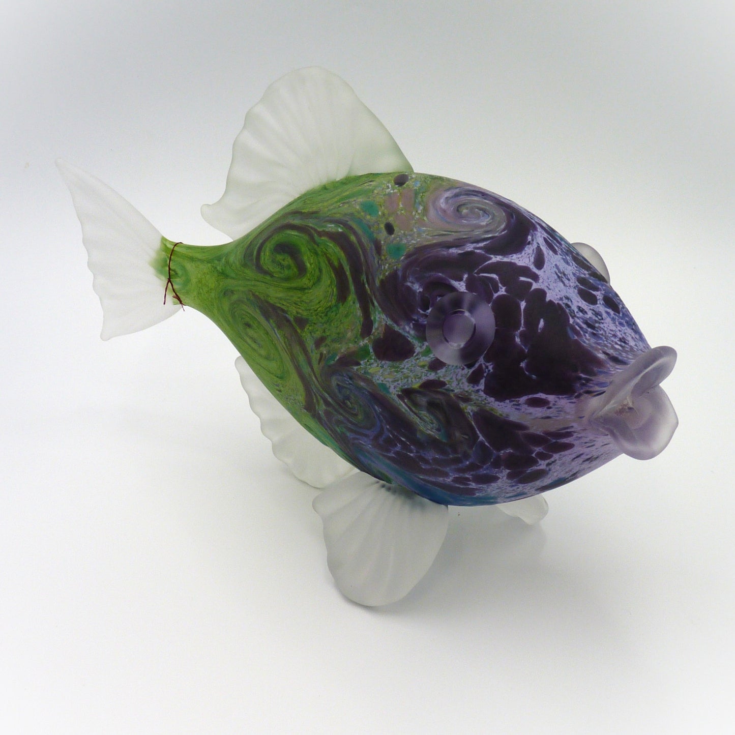 Green and Violet Starry Fish